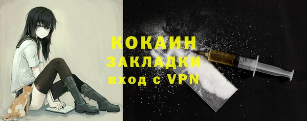 PSILOCYBIN Лихославль