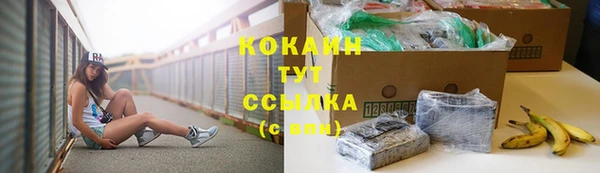 ПСИЛОЦИБИНОВЫЕ ГРИБЫ Липки