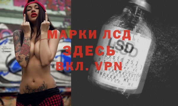 ПСИЛОЦИБИНОВЫЕ ГРИБЫ Липки