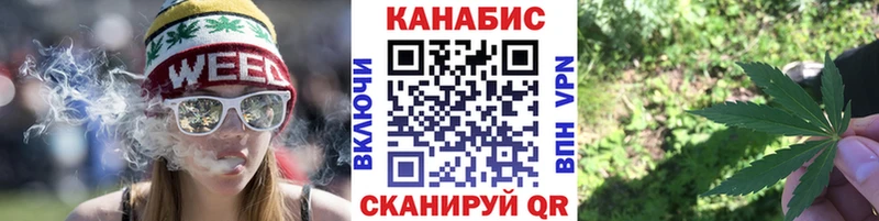 Шишки марихуана SATIVA & INDICA  Купить  Новозыбков 
